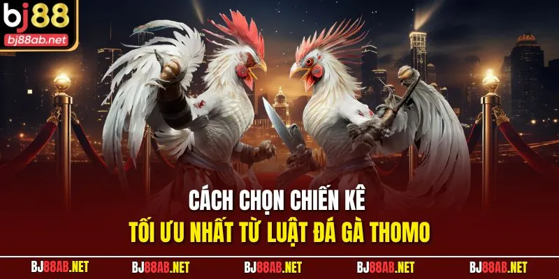 Cách chọn chiến kê tối ưu nhất từ luật đá gà thomo