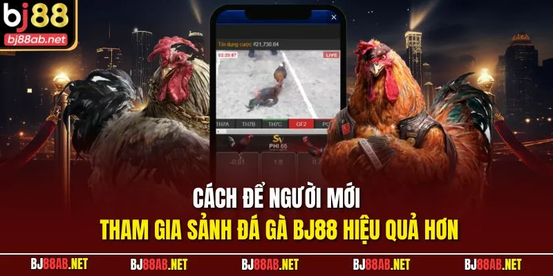 Cách để người mới tham gia sảnh đá gà BJ88 hiệu quả hơn