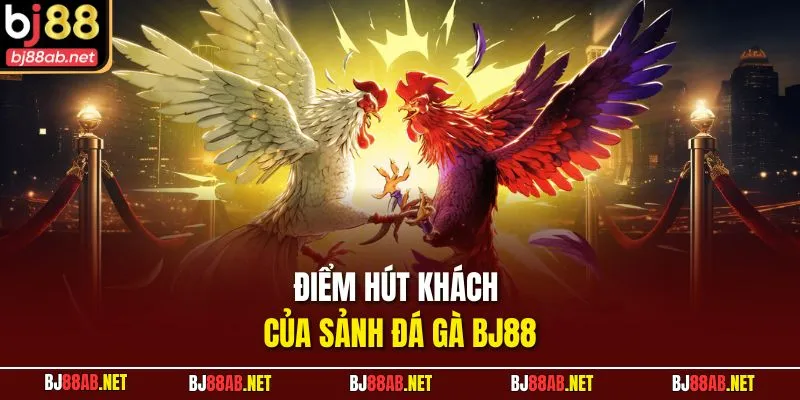 Điểm hút khách của sảnh đá gà BJ88