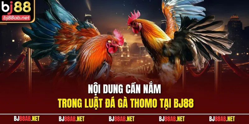 Nội dung cần nắm trong luật đá gà thomo tại BJ88