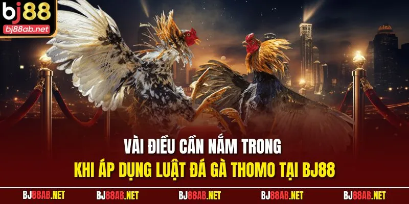 Vài điều cần nắm trong khi áp dụng luật đá gà thomo tại BJ88