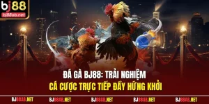 Đá gà BJ88