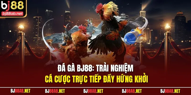 Đá gà BJ88