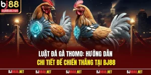 Luật đá gà thomo